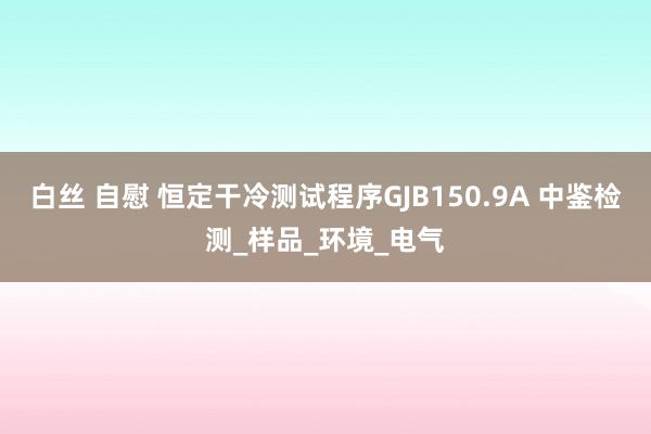 白丝 自慰 恒定干冷测试程序GJB150.9A 中鉴检测_样品_环境_电气