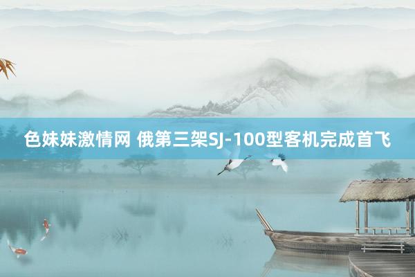 色妹妹激情网 俄第三架SJ-100型客机完成首飞
