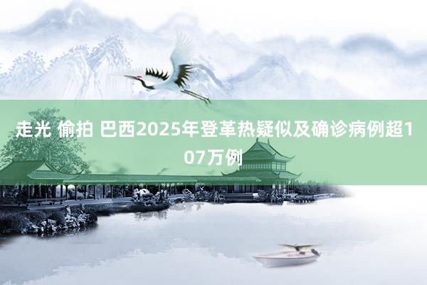 走光 偷拍 巴西2025年登革热疑似及确诊病例超107万例
